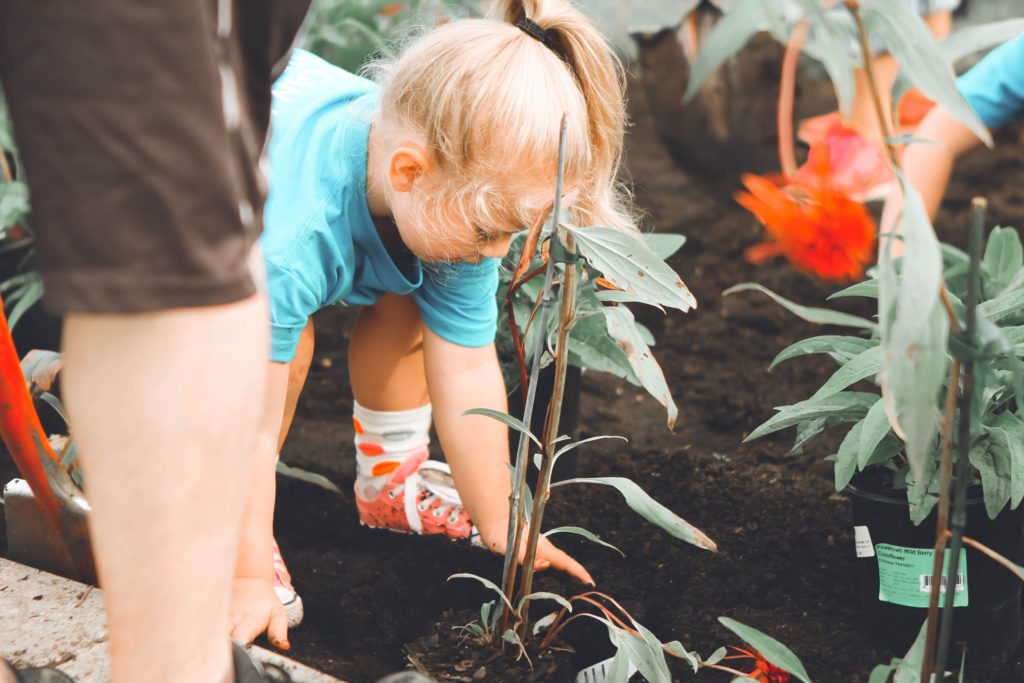 Image: Young children and their caregivers work on a garden together.